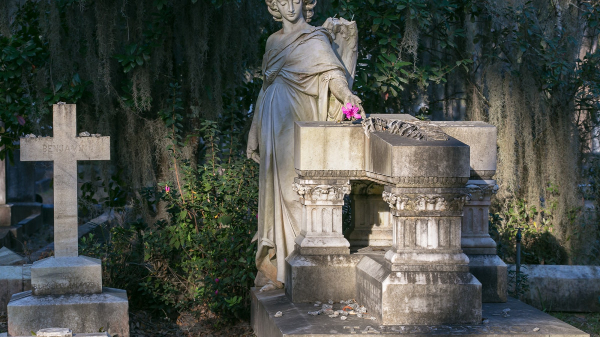 bonaventure_casey7118.jpg