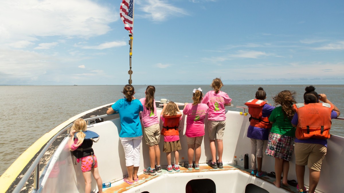 girl scouts tybee dolphin tour