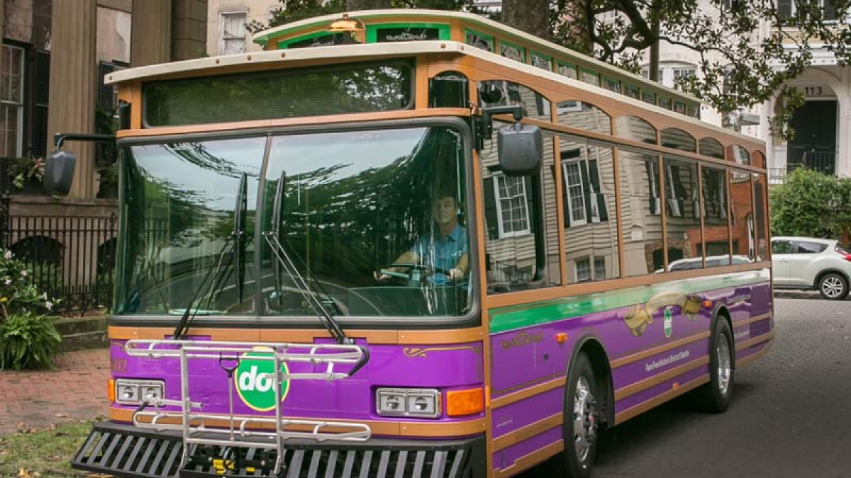 DOT Bus Savannah
