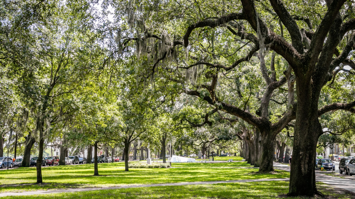 Emmet Park