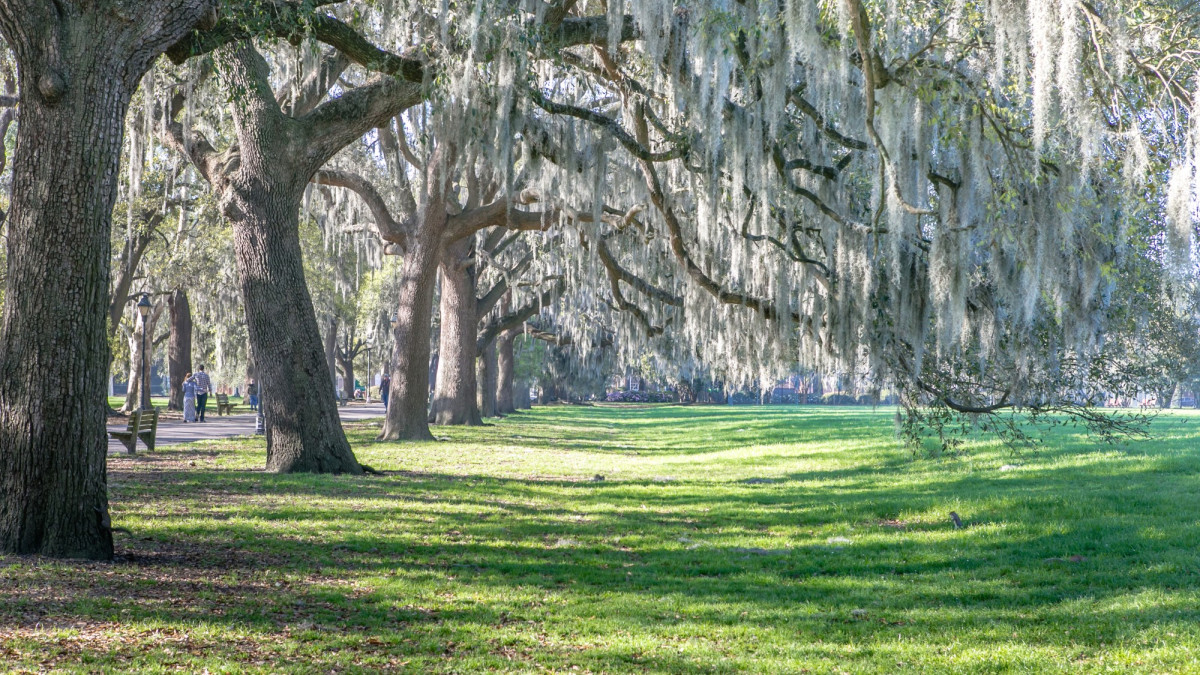 forsyth_park.jpg