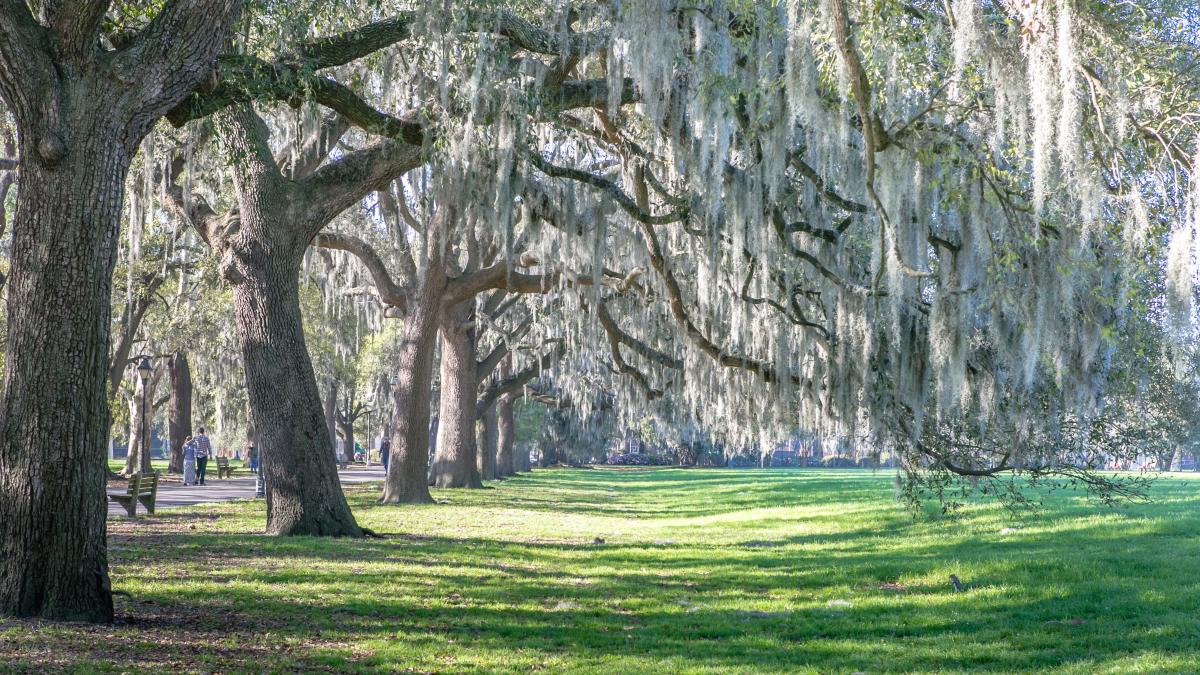 forsyth_park.jpg