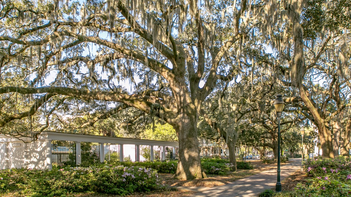 Forsyth Park. Forsyth Park.