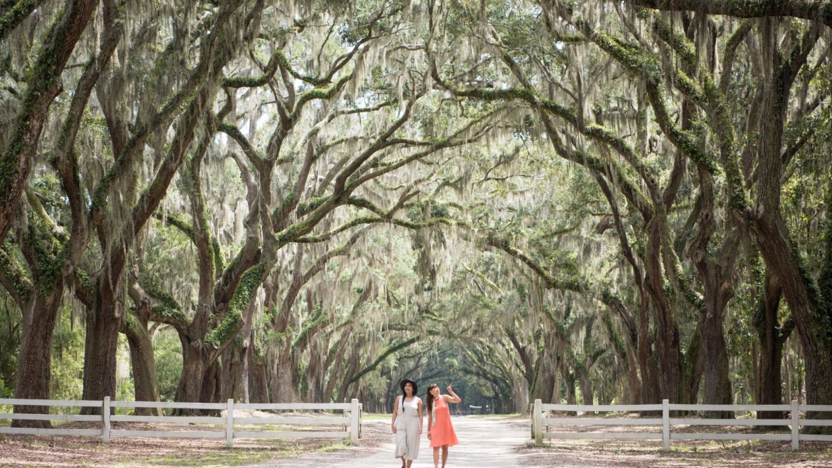 Wormsloe Historic Site