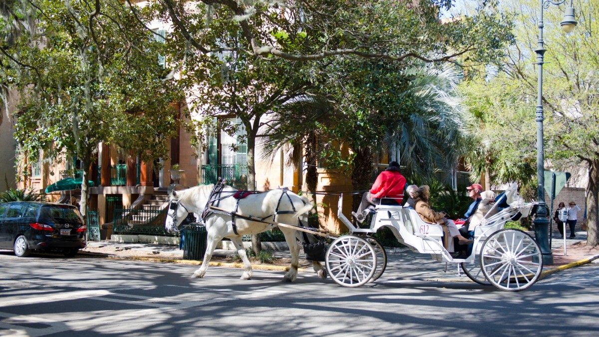 sorrel weed house_horse_carriage_tour.jpg