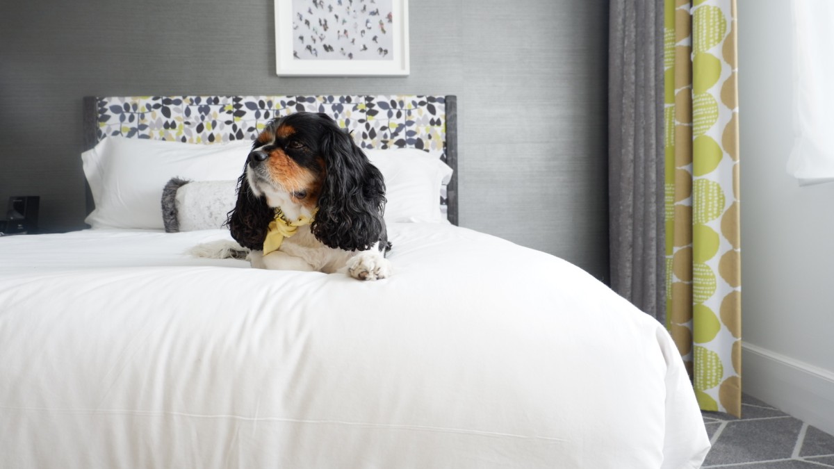 Pet-Friendly Brice Hotel