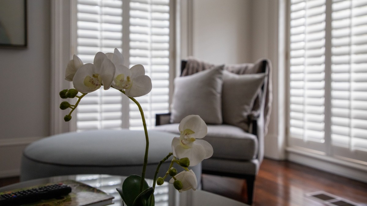 jules savannah living room orchid jules savannah living room orchid
