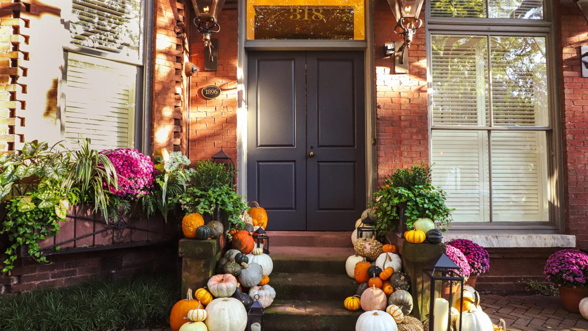 fall pumpkins_b.howard_img_9460.jpg