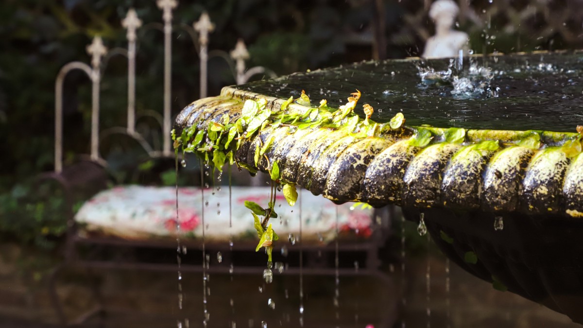 NOGS fountain.jpg