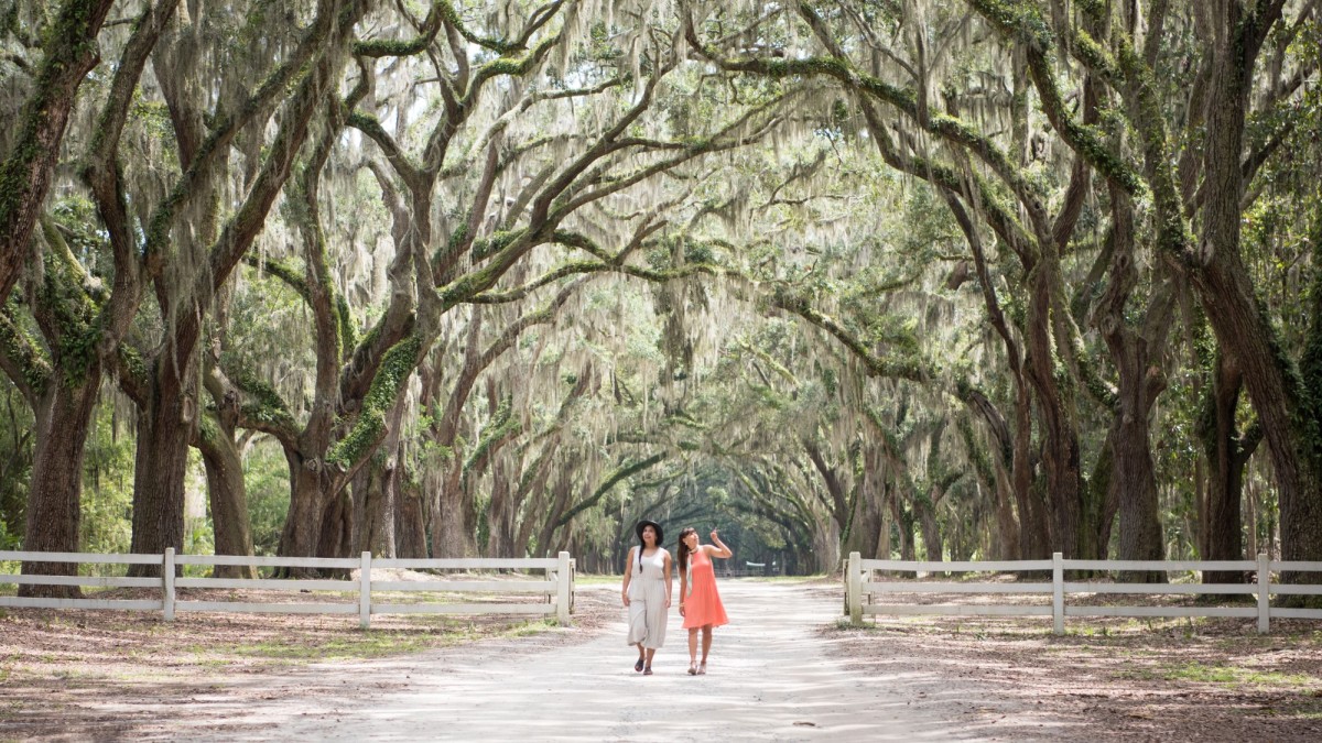 Best Things To Do in Savannah, Georgia