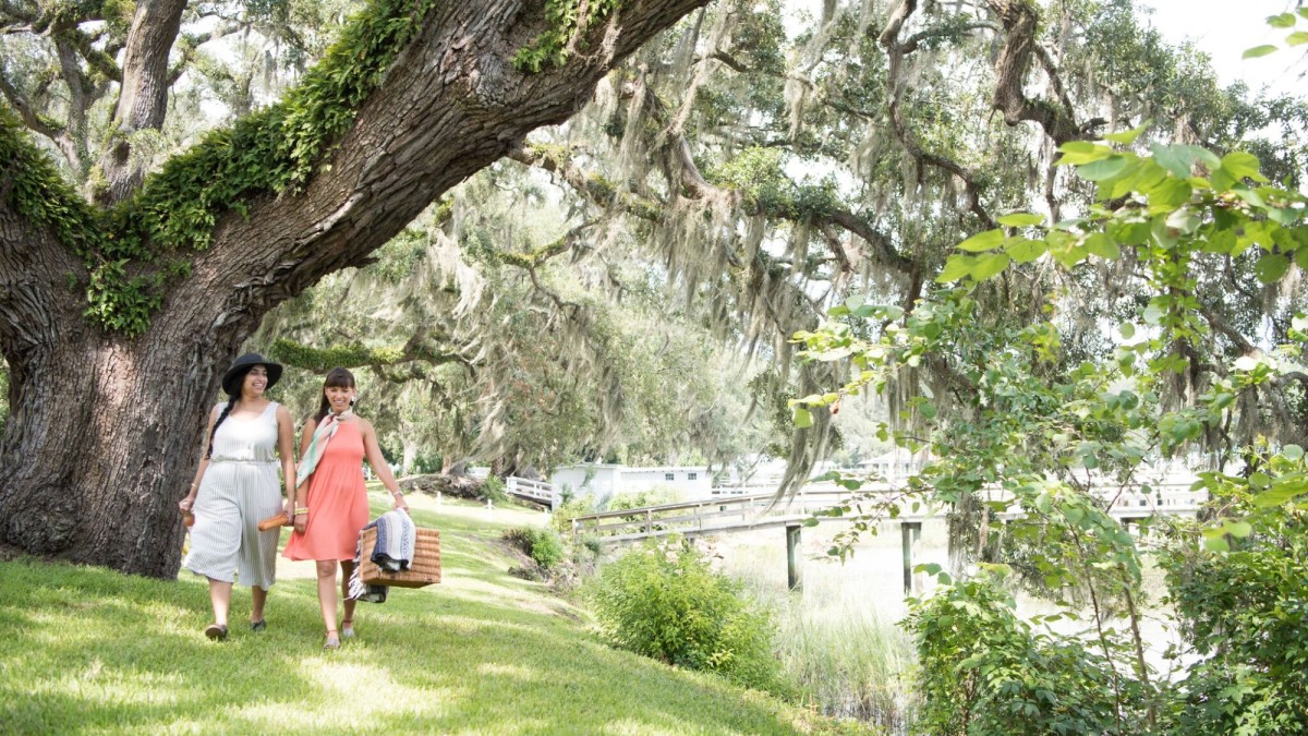 Pack a picnic and explore Savannah's Moon River District. A picnic in Savannah's Moon River District