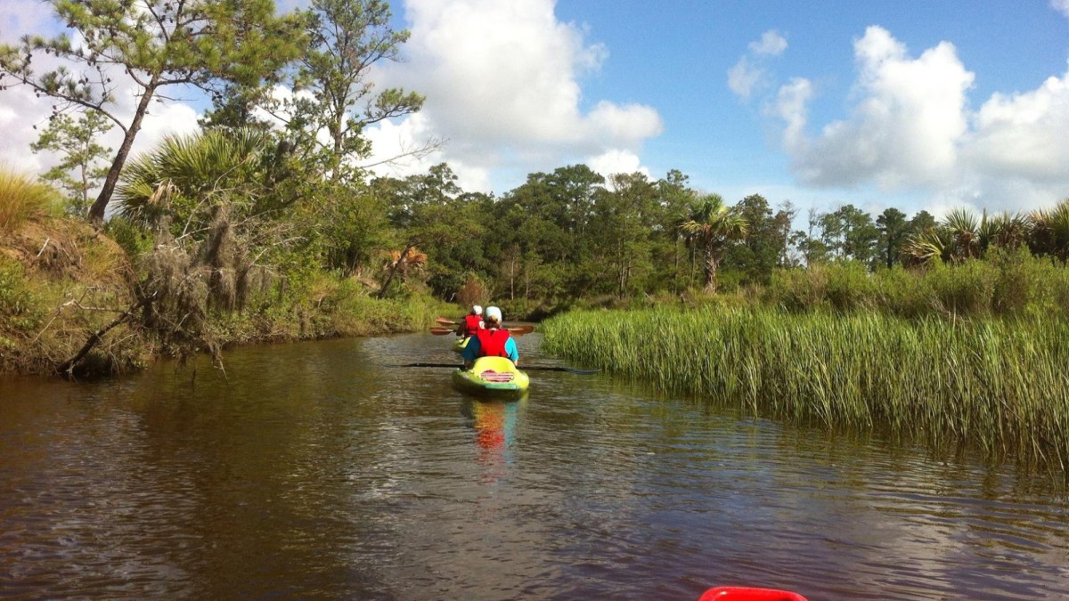 moon_river_kayak_tours_facebook_page.jpeg