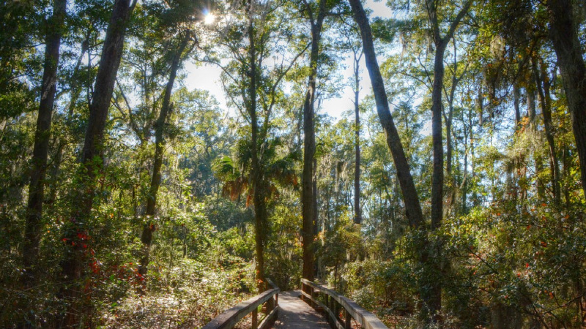 Oatland Island Oatland Island Wildlife Center