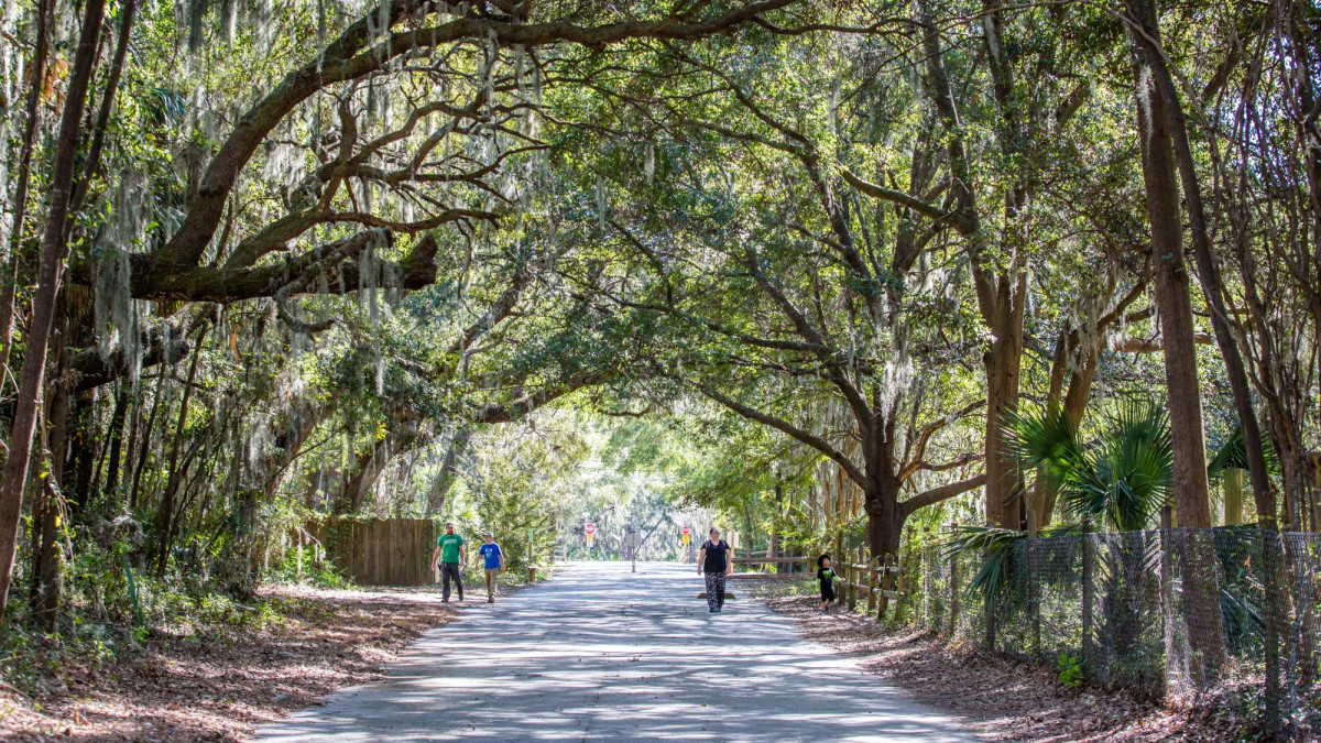 oatland island wildlife center