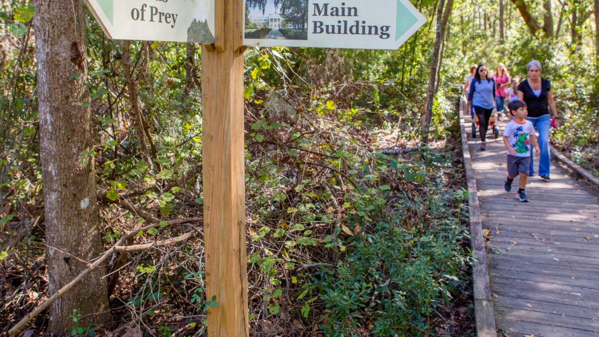 Oatland Island Wildlife Center Oatland Island Wildlife Center
