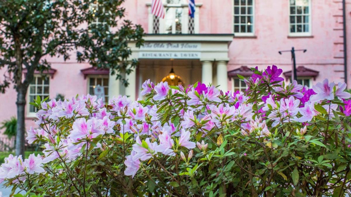 The Olde Pink House The Olde Pink House