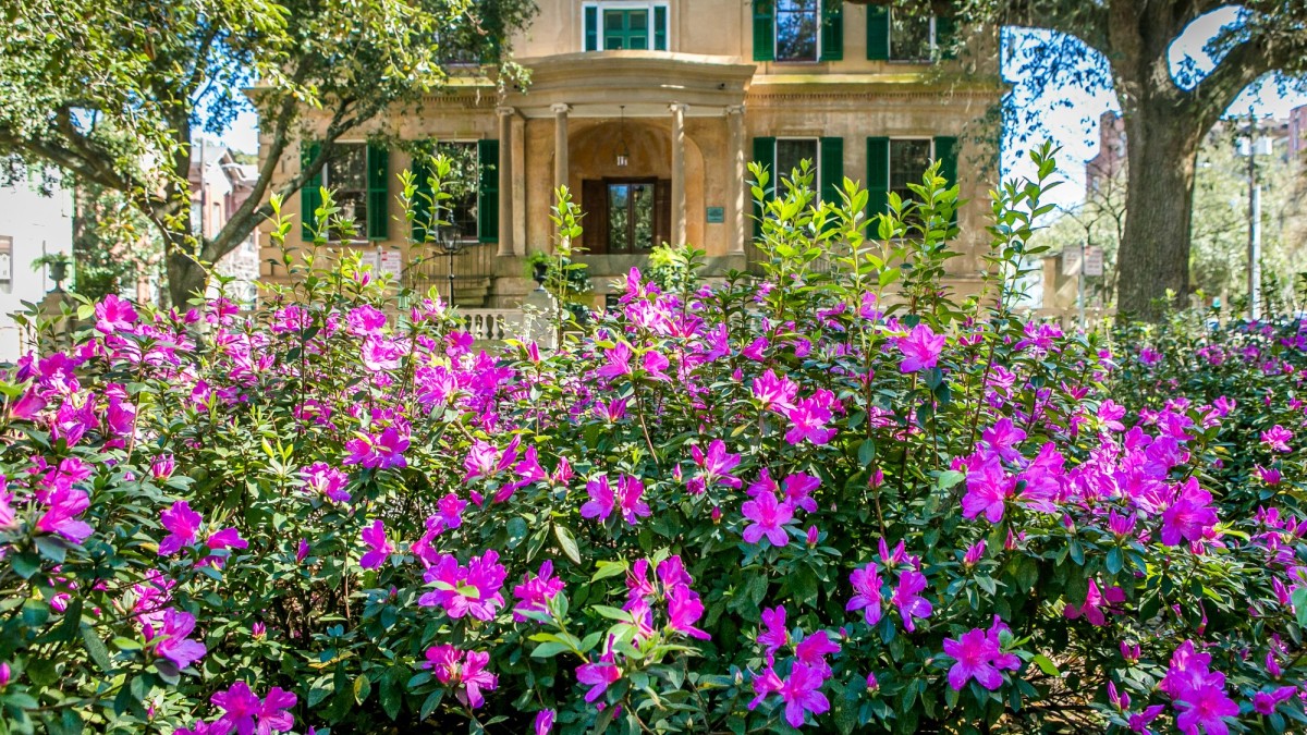 owens_thomas_house_owens_thomas_house_azaleas_.jpg
