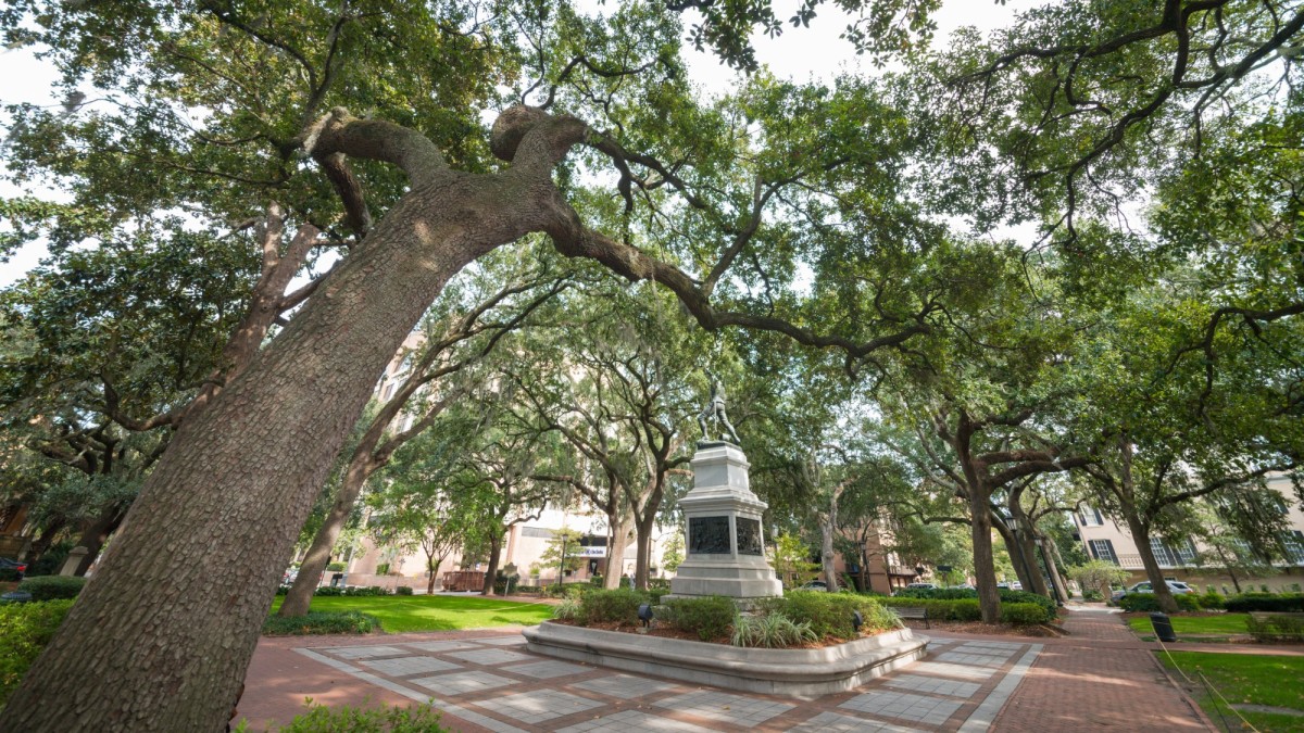 Madison Square Savannah