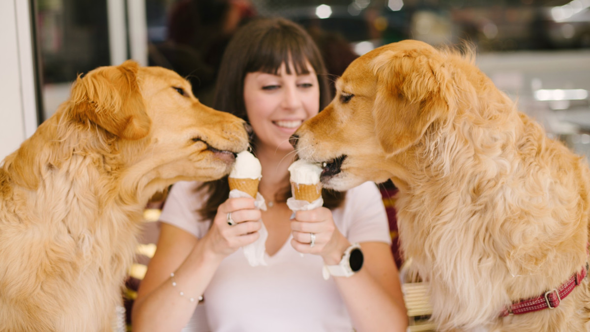 Dogs at Leopold's in Savannah