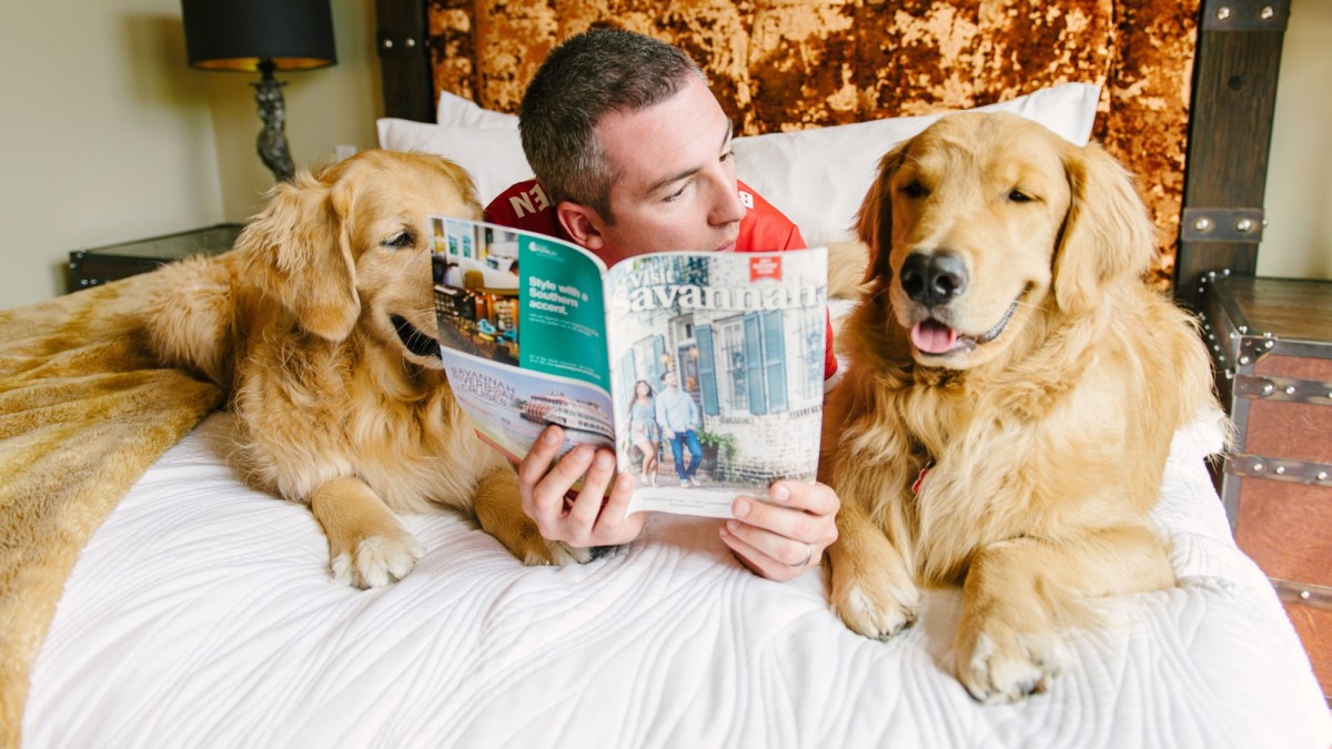 A dog-friendly hotel in Savannah, Georgia A dog-friendly hotel in Savannah, Georgia