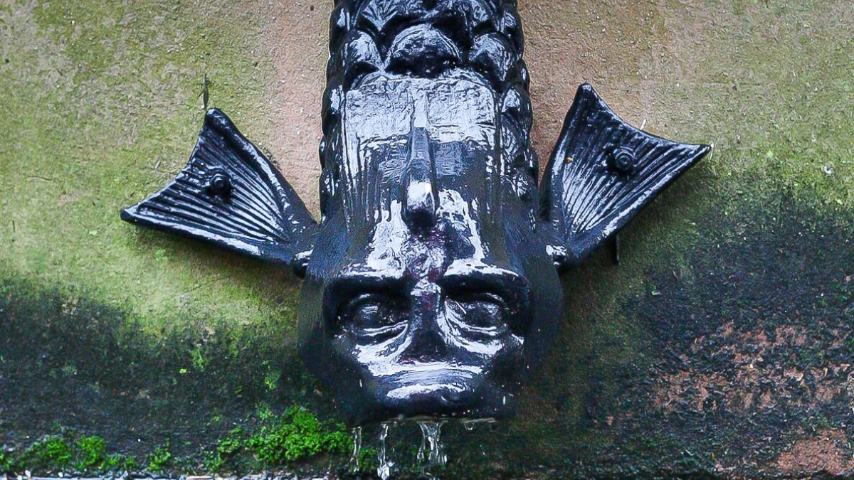 A decorative fish downspout in Savannah, Georgia. A decorative fish downspout in Savannah, Georgia.