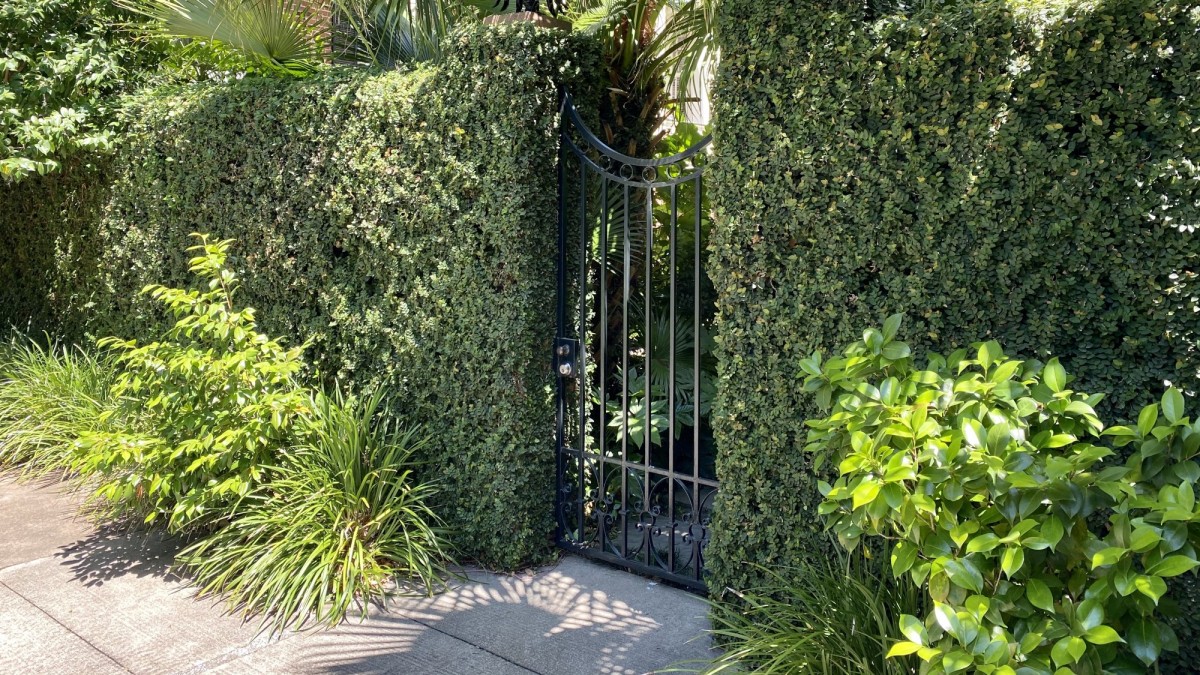 A lush garden gate in Savannah's Historic District.