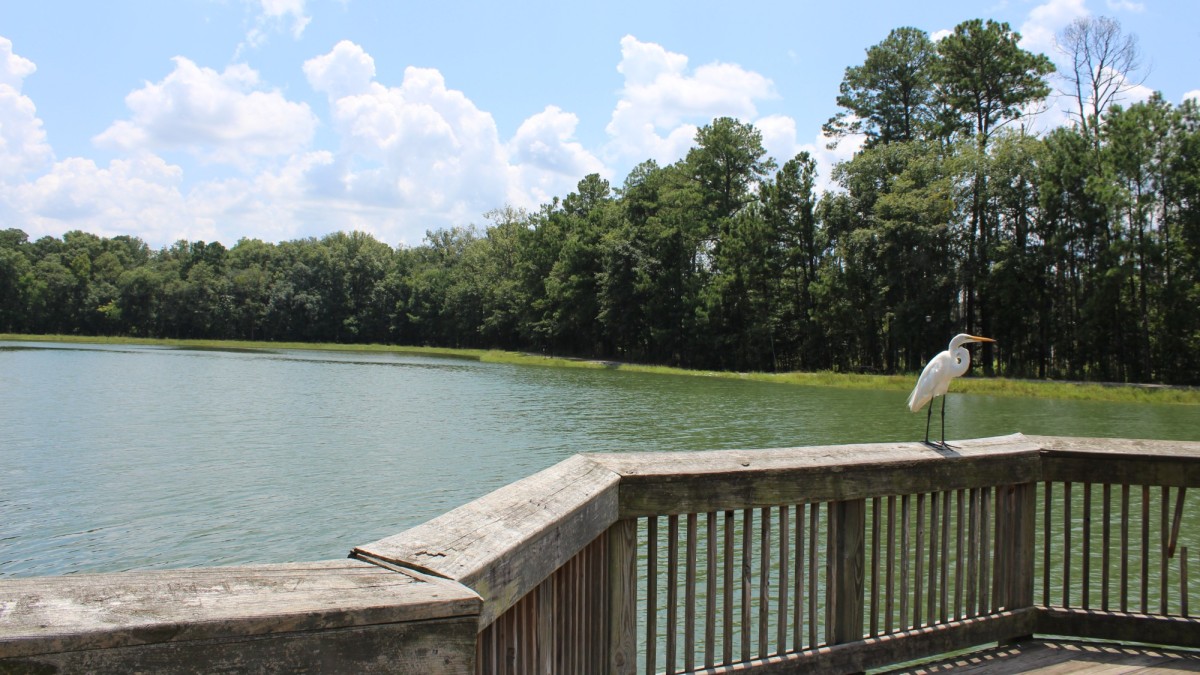 Tom Triplett Community Park has a scenic lake