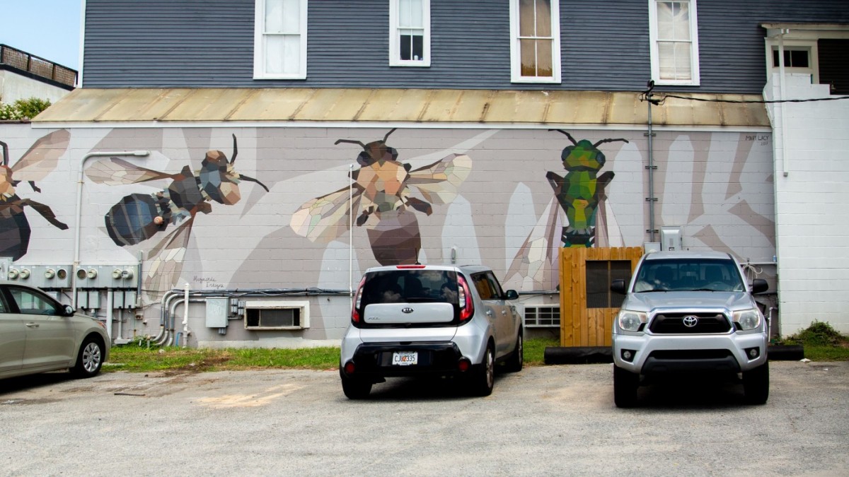 This mural of bees native to Georgia is located at Two Tides Brewing Co. in the Starland District.  