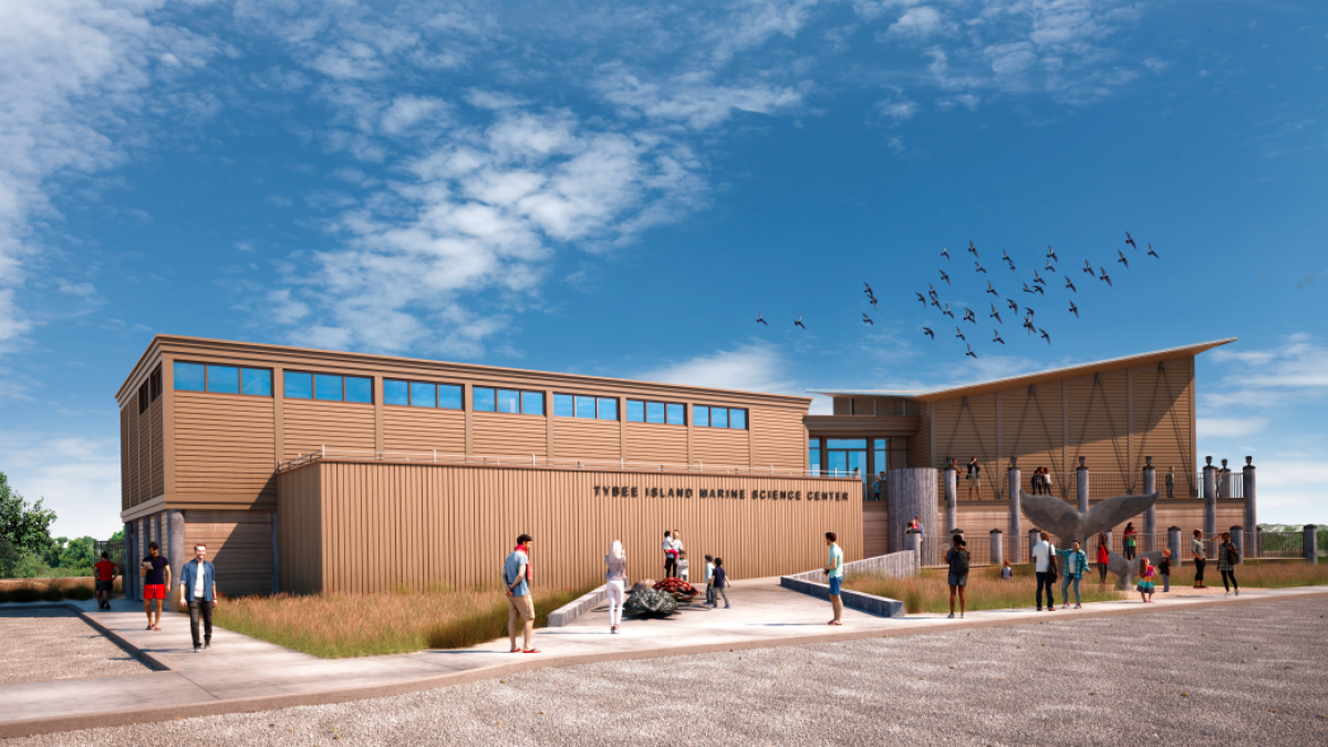 tybee island marine science building