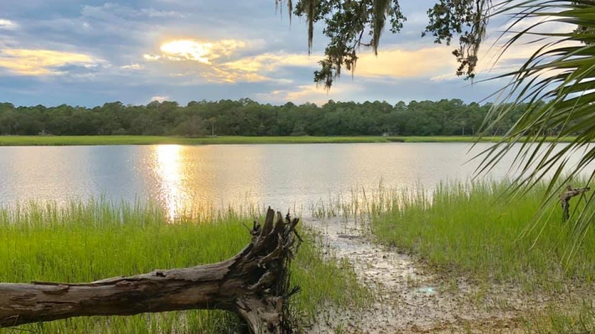 skidaway island state park skidaway island state park