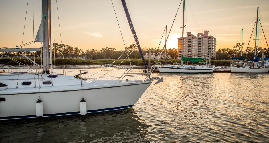 Savannah On A Budget This Guide Will Blow Your Mind Discover The Charm Exciting Events And Activities In Savannah Ga A Comprehensive Guide - d77gyba