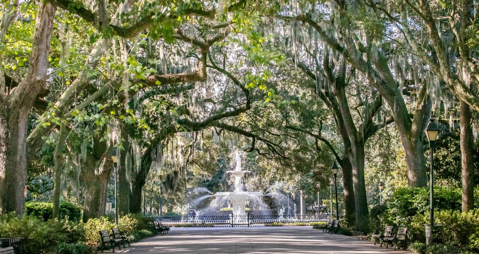 savannah travel info