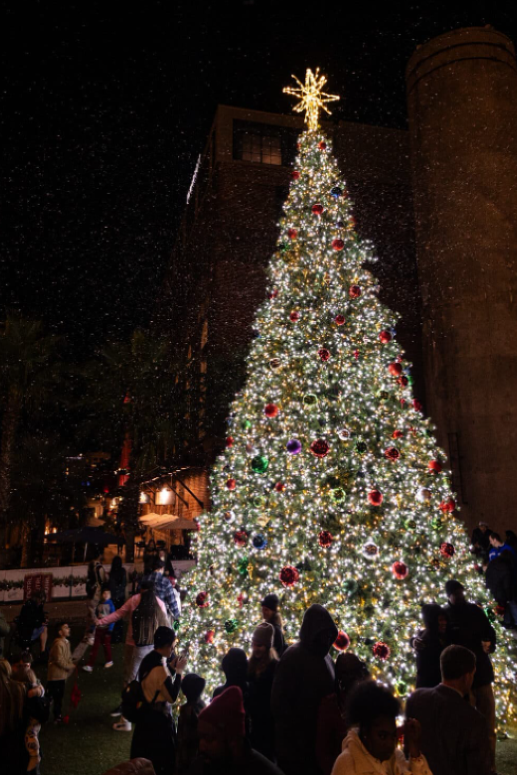 An enormous outdoor Christmas Tree lighting ceremony at Plant Riverside District in Savannah, GA.
