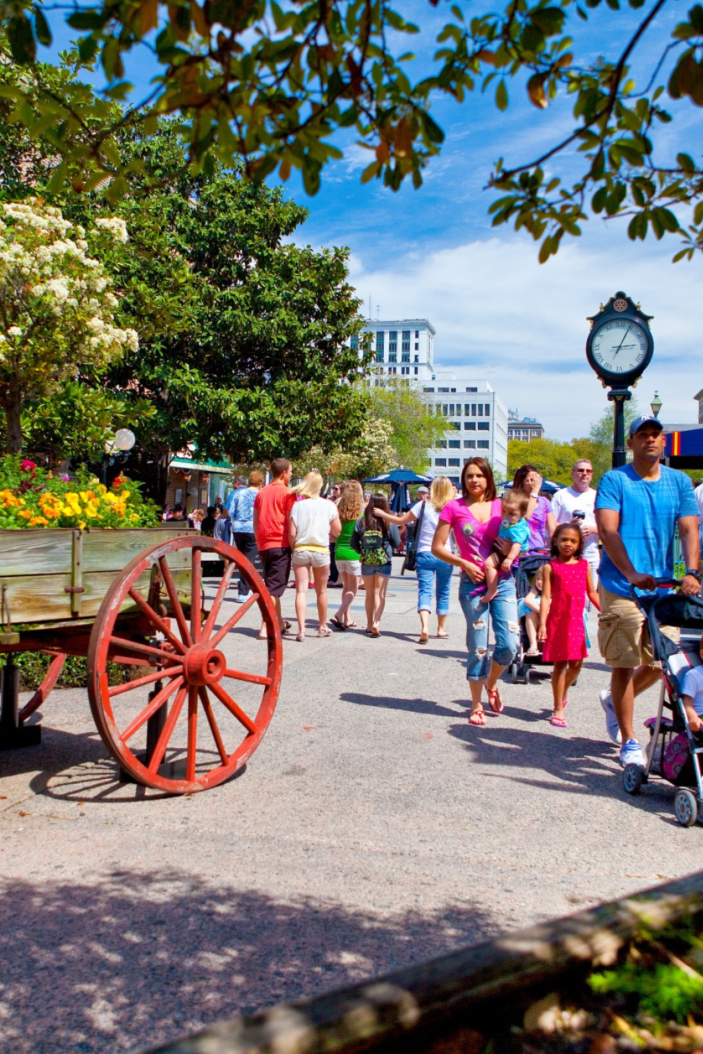 Savannah City Market
