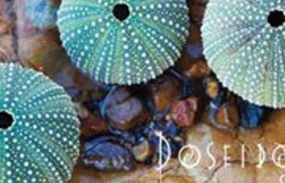 Poseidon Spa Poseidon Spa