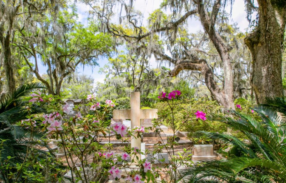 Bonaventure Cemetery in the spring Bonaventure Cemetery in the spring