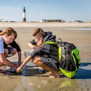 tybee ecology trip tybee island