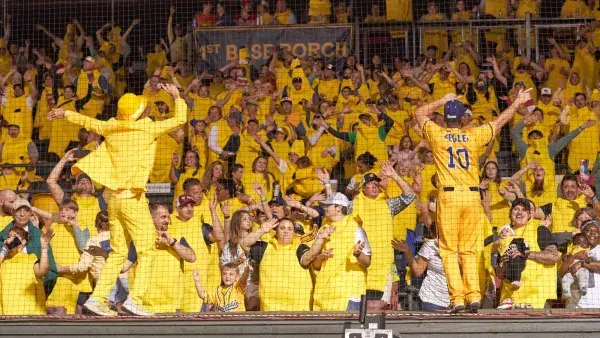 Savannah Bananas. Savannah Bananas' baseball team.