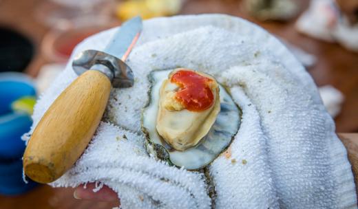 Savannah Oyster Roast Savannah Oyster Roast