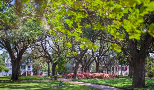 Savannah Square Savannah square