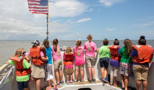 Captain Mike's Dolphin Tour Captain Mike's Dolphin Tour Tybee Island