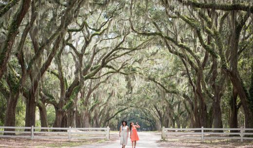 Wormsloe State Historic Site Wormsloe State Historic Site