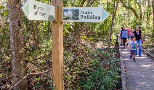 Oatland Island Wildlife Center Oatland Island Wildlife Center