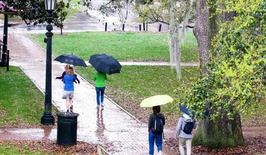 Rainy Day in Savannah Rainy Day in Savannah