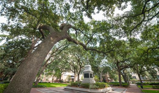 Madison Square Madison Square Savannah