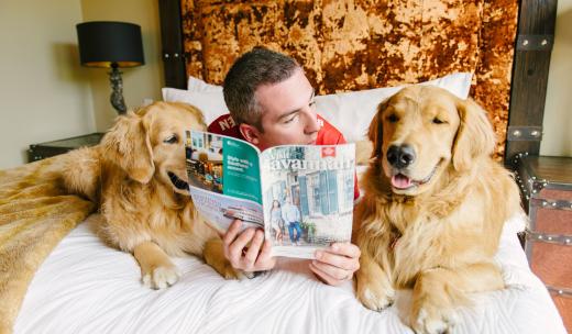 A dog-friendly hotel in Savannah, Georgia A dog-friendly hotel in Savannah, Georgia