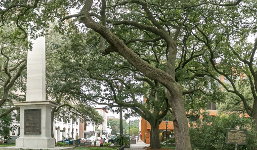 Johnson Square Johnson Square