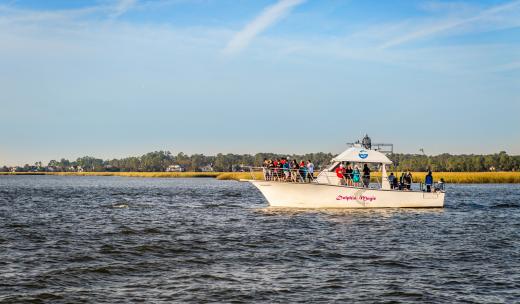 Dolphin Magic Cruise