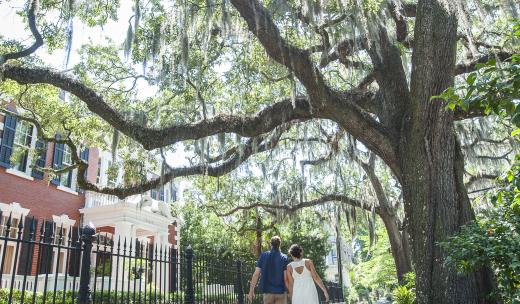 Walking on Gaston Street A Couple of Savannah's Gaston Street
