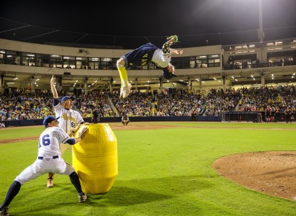 Photo courtesy of The Savannah Bananas